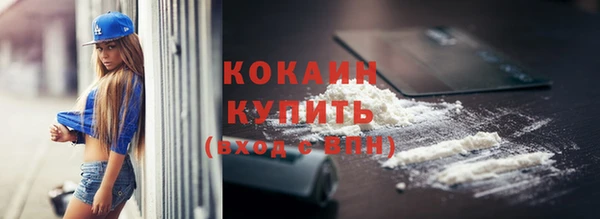прущие грибы Баксан