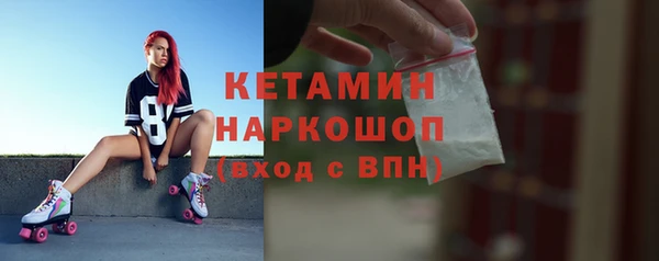 прущие грибы Баксан