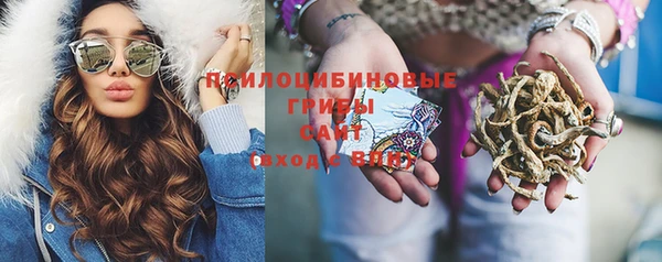 сатива Белоозёрский