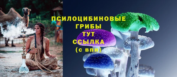 ALPHA-PVP Белокуриха