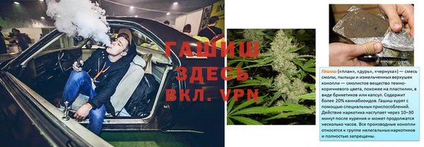 прущие грибы Баксан