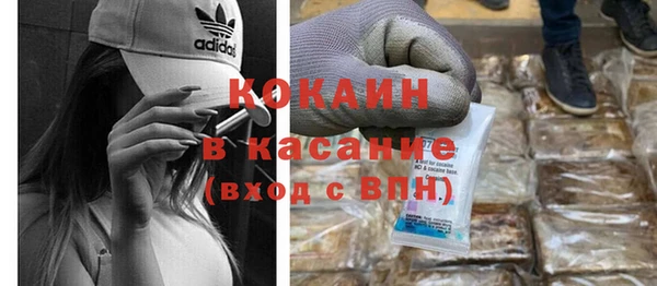 прущие грибы Баксан