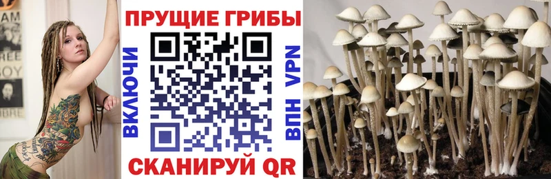 купить  цена  Реутов  hydra как войти  Галлюциногенные грибы Psilocybine cubensis 