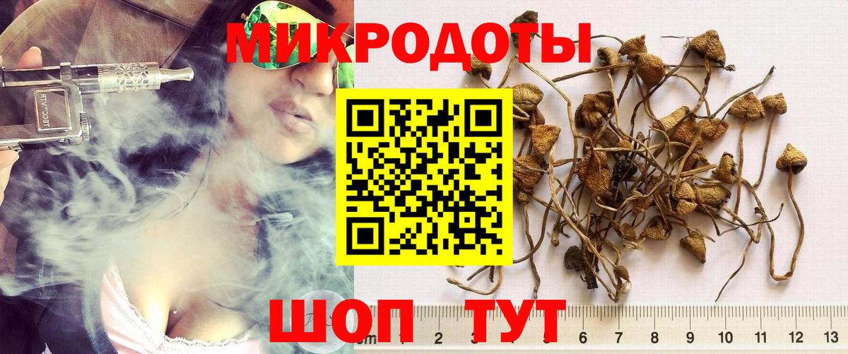 Галлюциногенные грибы Cubensis  Псилоцибиновые грибы ЛСД  Реутов  где купить наркоту  Вход с VPN 
